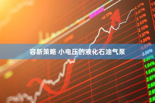 容新策略 小电压的液化石油气泵
