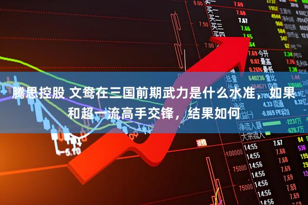 腾思控股 文鸯在三国前期武力是什么水准，如果和超一流高手交锋，结果如何